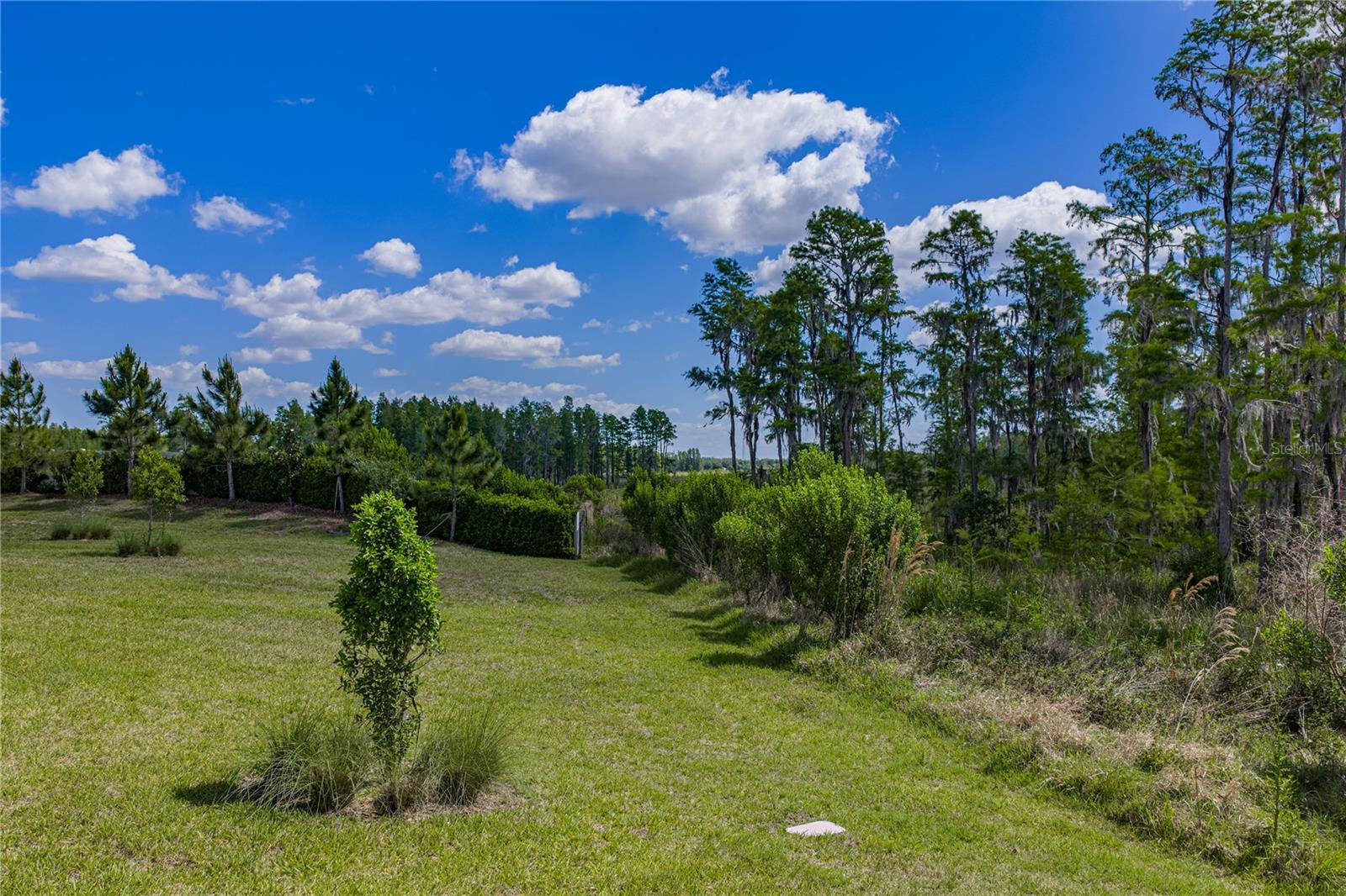 DEL WEBB BEXLEY - Residential