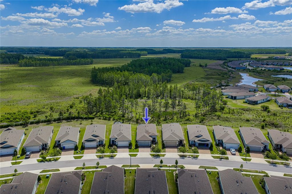 Photo of 6041 Shorebird Branch, Land O Lakes, FL 34638 (MLS # TB8501220)