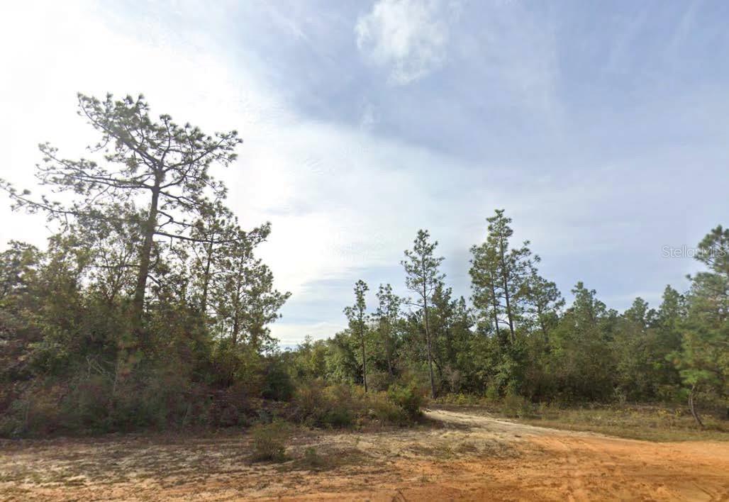 Located in the Sunny Hills subdivision, this vacant lot on Kings Drive offers a great opportunity for future residential development or long-term investment. The area is known for its natural surroundings, nearby lakes, and access to the Sunny Hills Golf Club. All information is deemed reliable but should be independently verified.