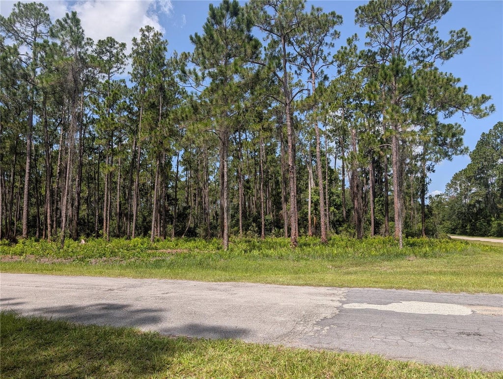 Photo of 201 Allamanda Drive, Indian Lake Estates, FL 33855 (MLS # P4939277)