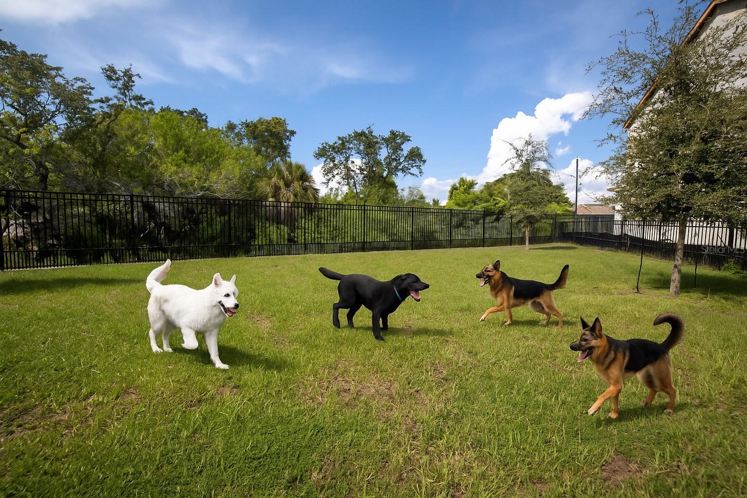 SHORELINE REP - Residential Lease