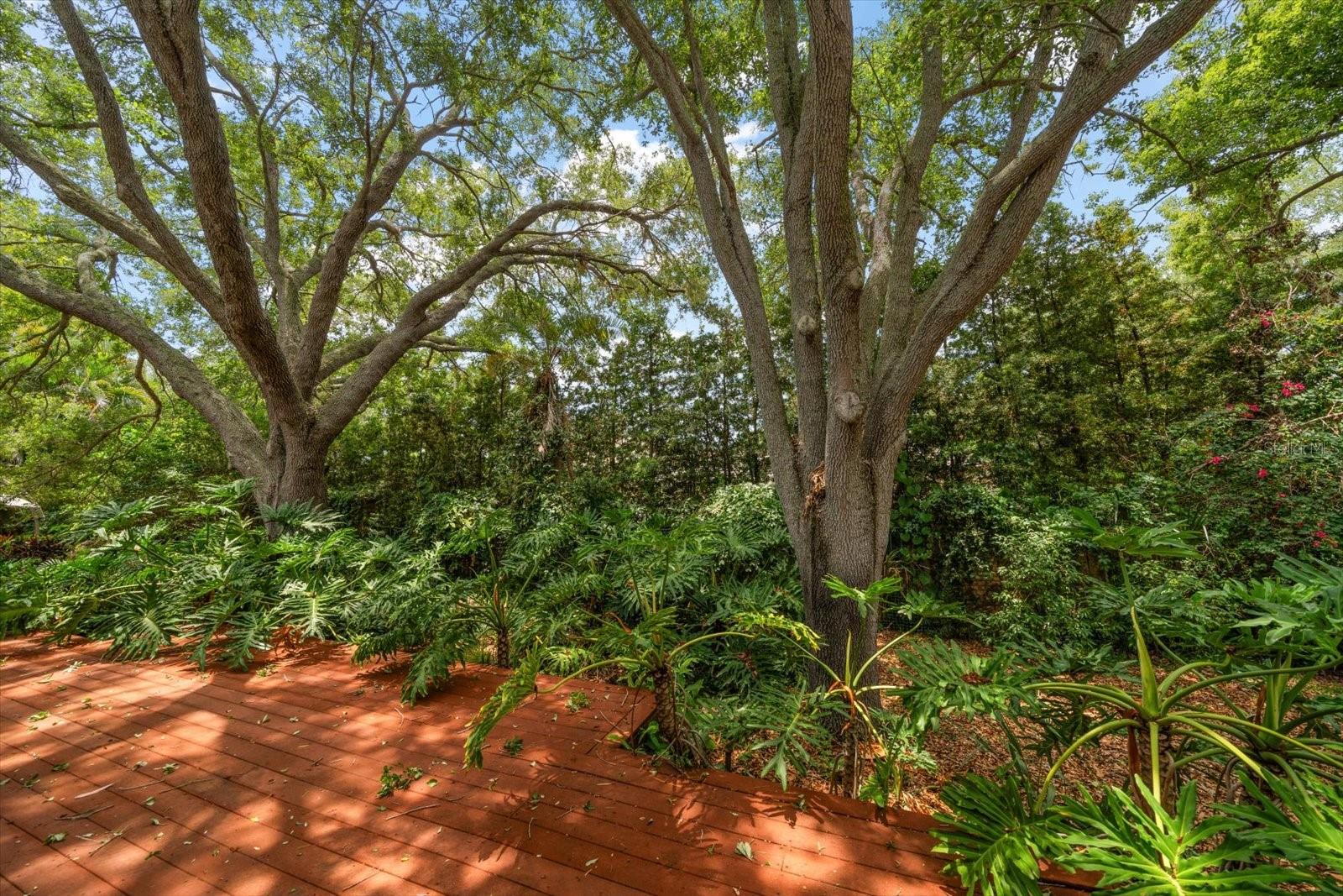 BELLEAIR PLACE - Residential