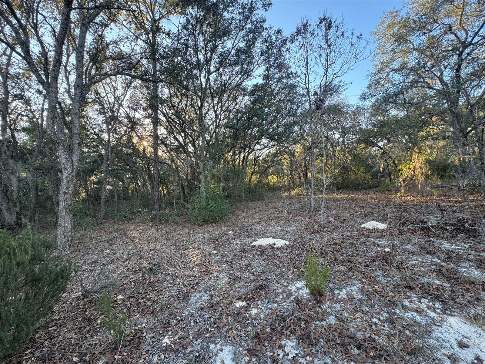 0 SW 147TH STREET ROAD