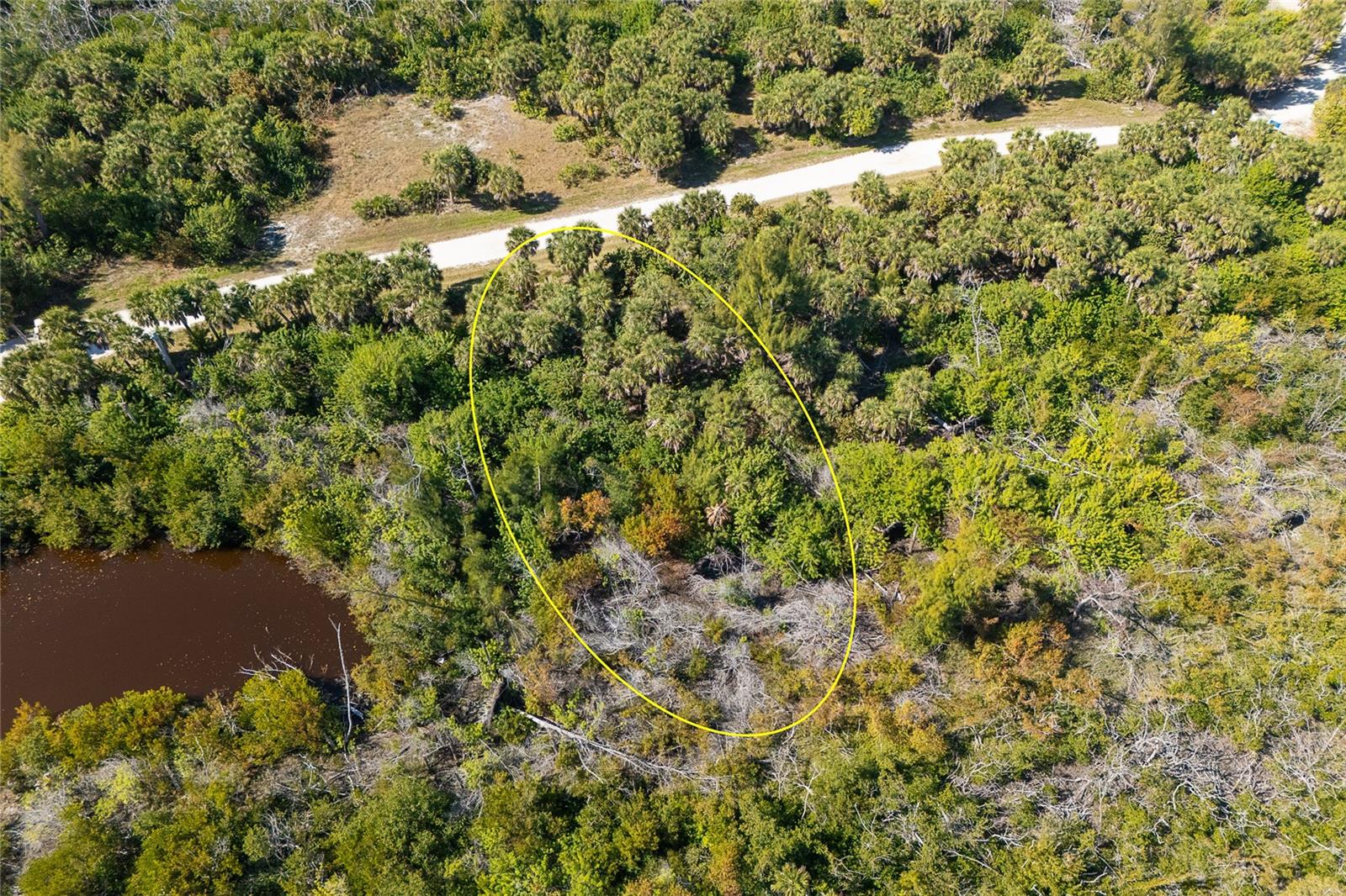 SABAL PALM POINT - Land