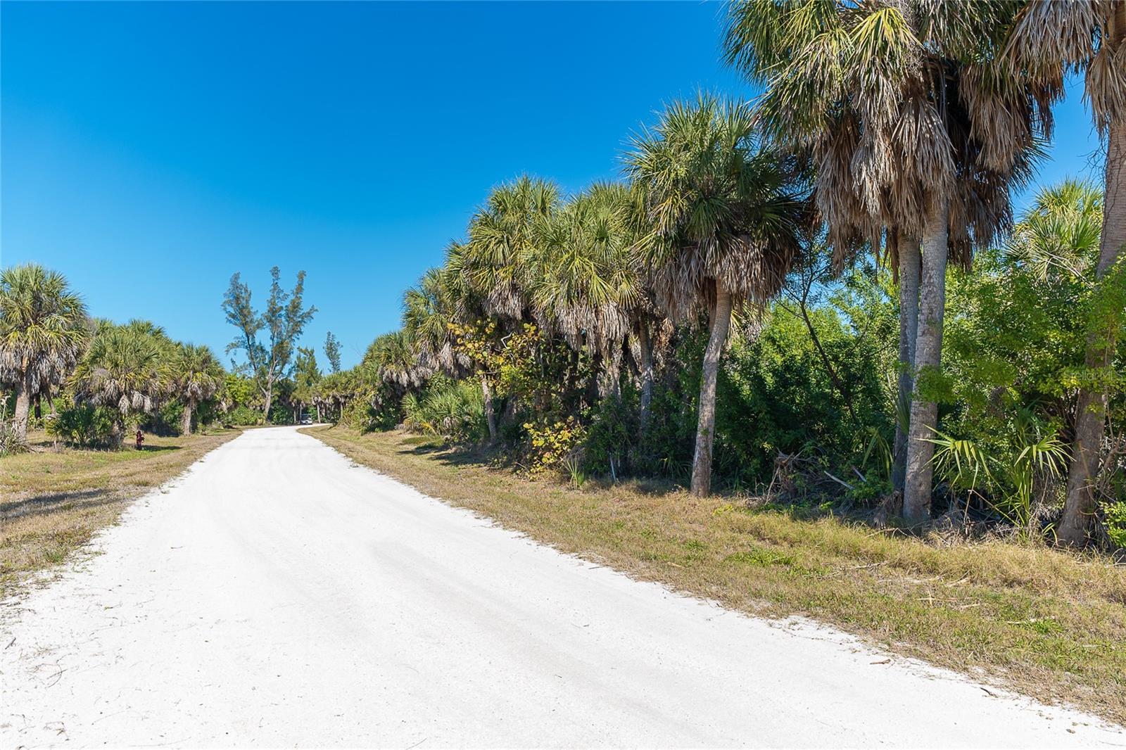 SABAL PALM POINT - Land