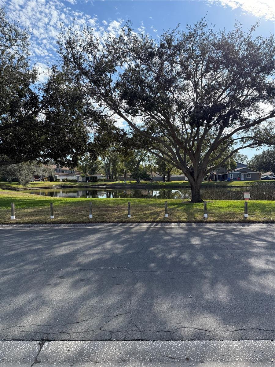 CARROLLWOOD OAKS - Residential Lease