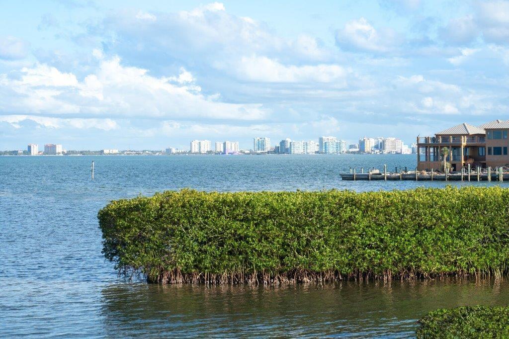 560 HARBOR POINT ROAD