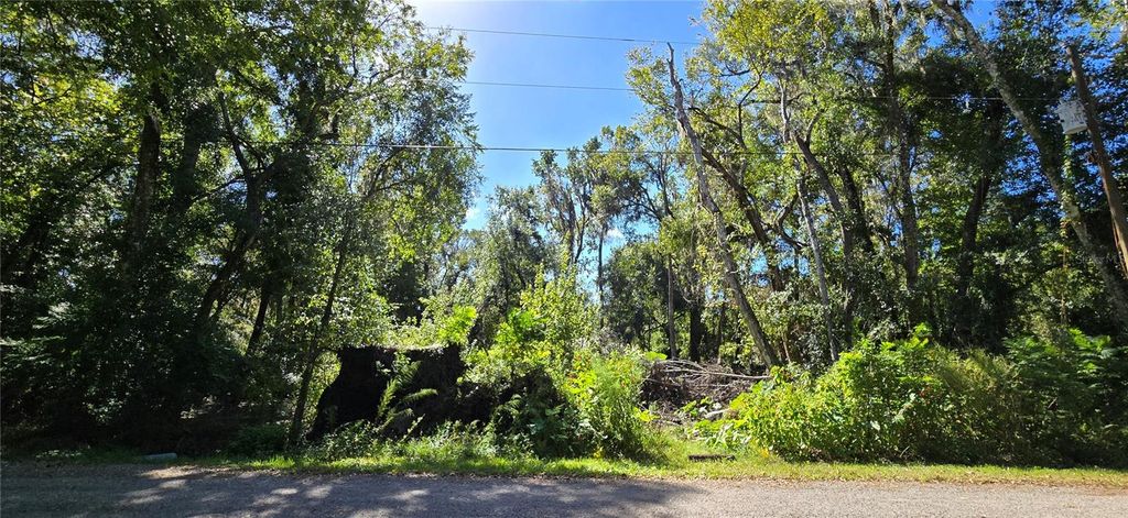 Photo of Foreside Avenue, Brooksville, FL 34601 (MLS # W7880203)