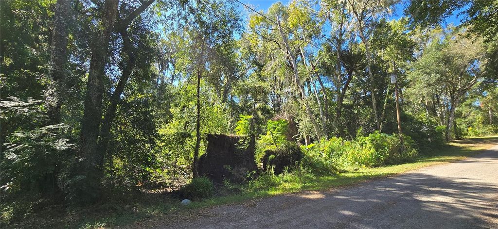 Photo of Foreside Avenue, Brooksville, FL 34601 (MLS # W7880203)