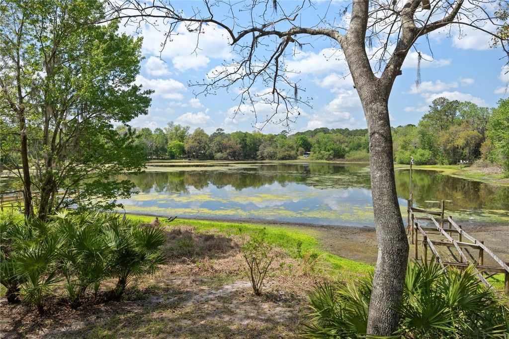 Photo of 2550 SE 31st Street, Gainesville, FL 32641 (MLS # OM721846)