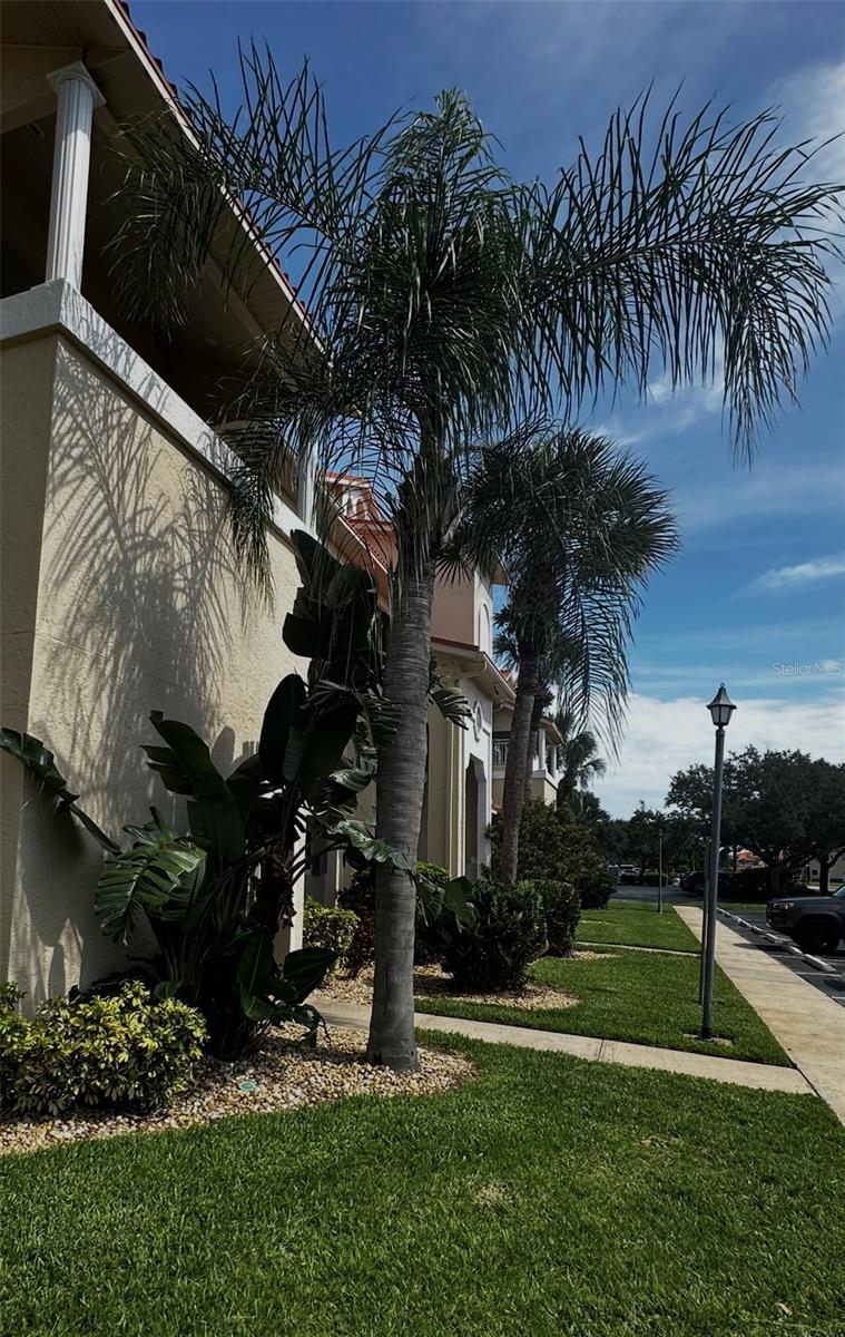 BOUCHELLE ISLAND CONDO - Residential