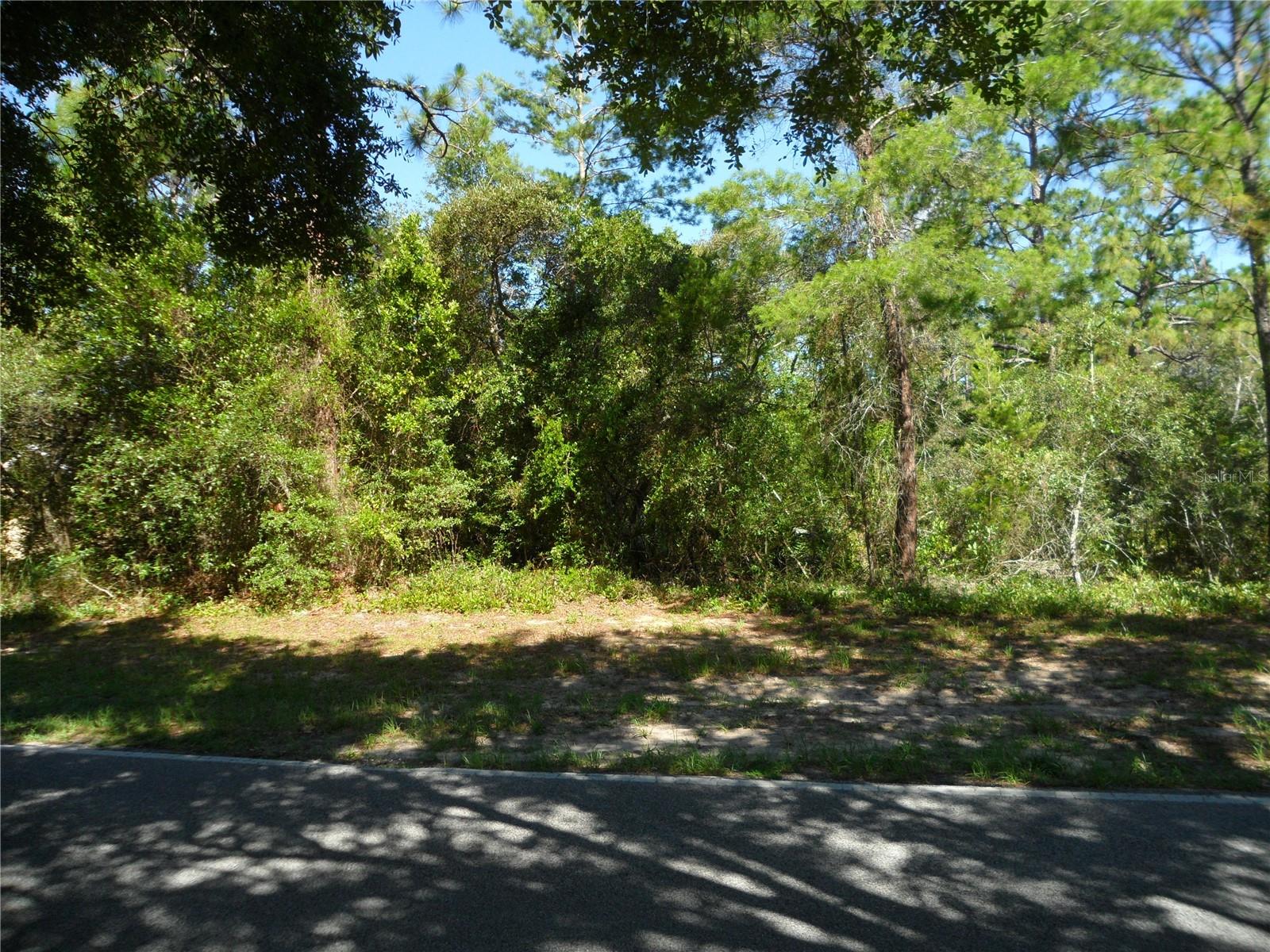 This .34 acre oversized lot is NOT in a flood zone and is located in the Oak Village Community of Sugarmill Woods, the ideal location to build your dream home. Conveniently located near shopping, doctor offices, natural spring fed Rivers that lead out to the Gulf of America, multiple golf courses, easy access to the Veterans Expressway and much more. Come and check this one out today!