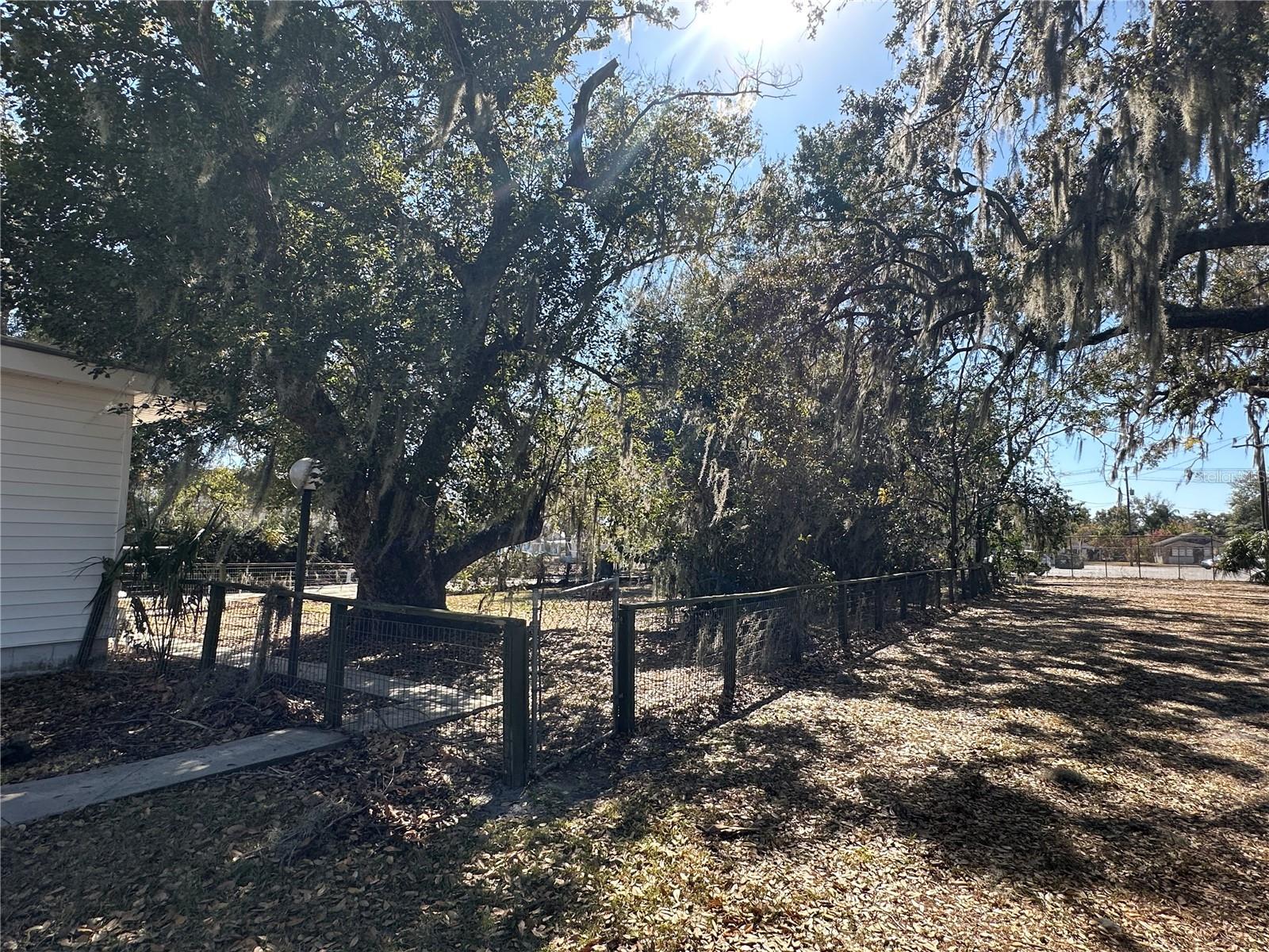 CARLTON & MCEWEN - Residential