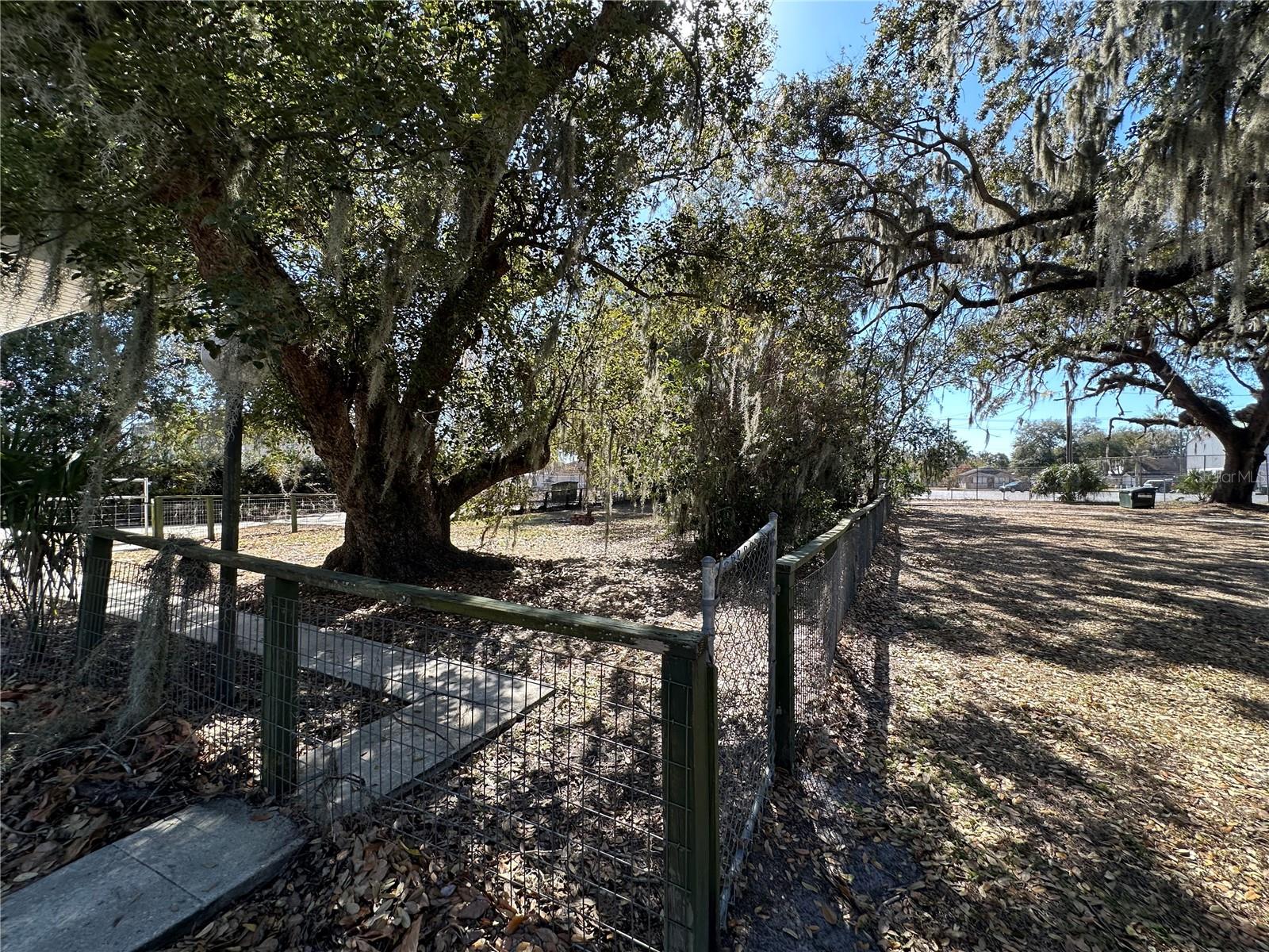 CARLTON & MCEWEN - Residential