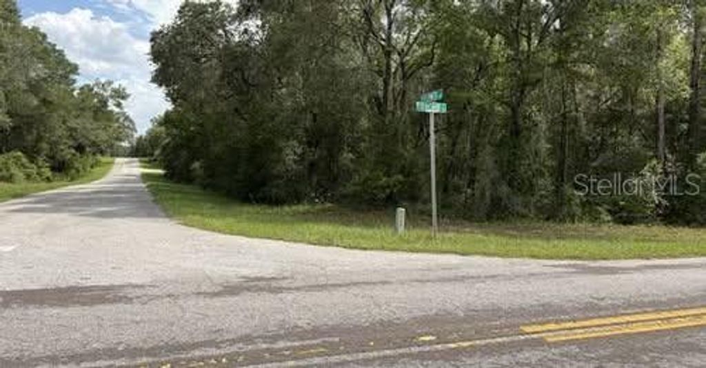 Photo of 6658 N Flower Terrace, Hernando, FL 34442 (MLS # O6373173)