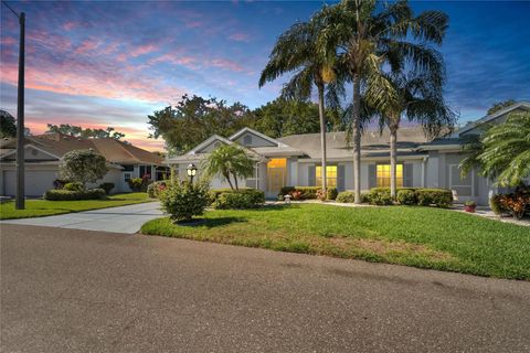 A home in SUN CITY CENTER