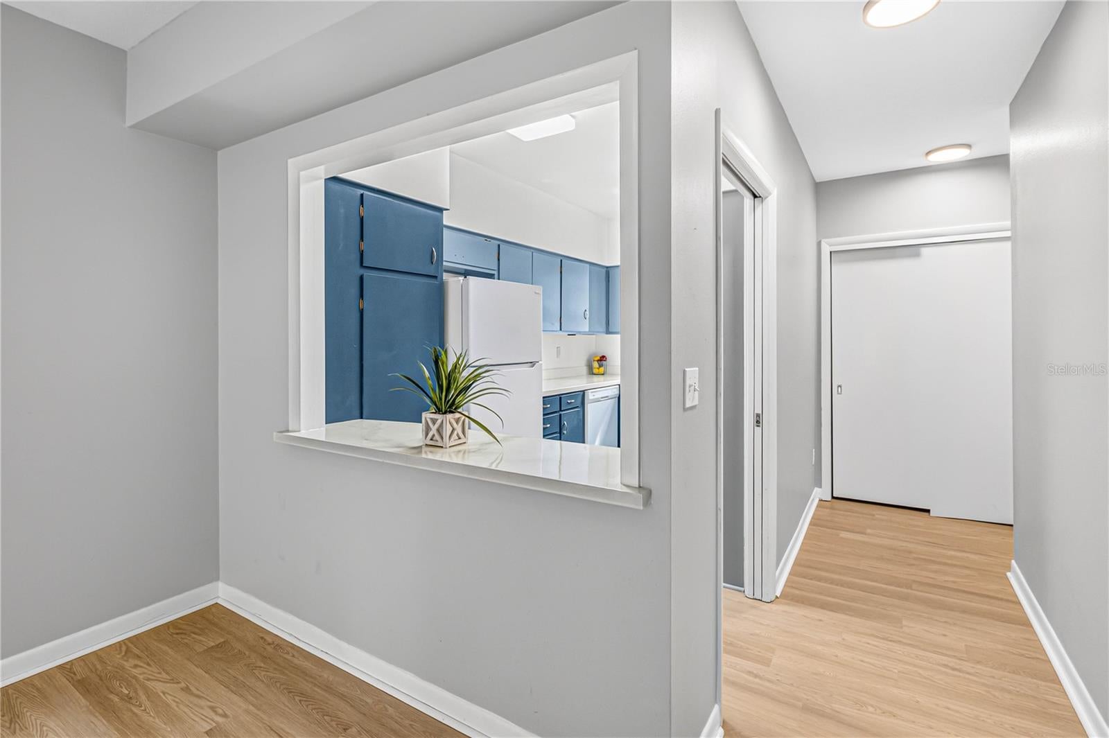 223 WINDSOR STREET 4
