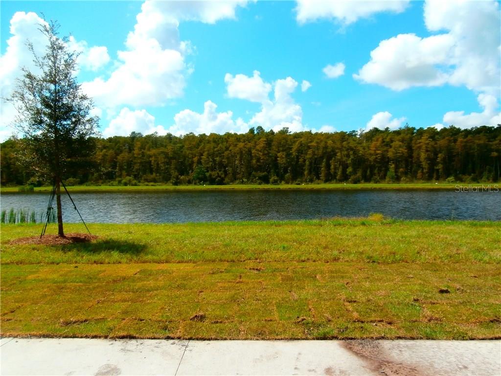 RANDAL PARK PH 4 - Residential Lease