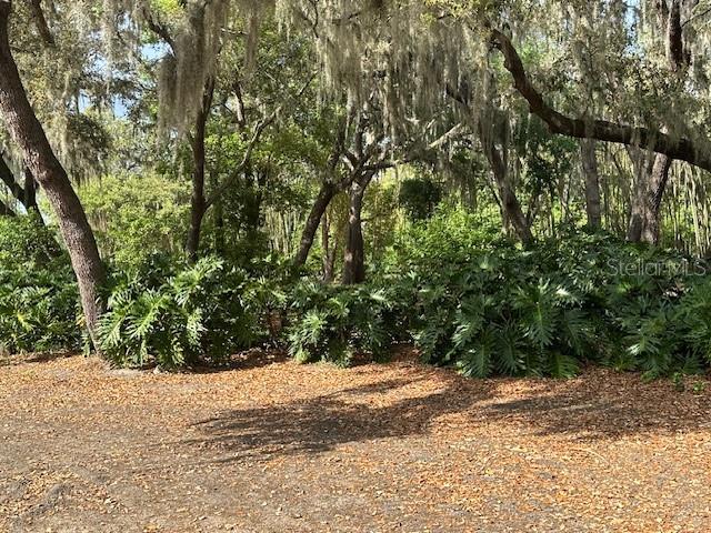 1.45 +/- country estate on winding country road. Near Publix and the Country Club of Winter Haven. Neighbors are other estate homes, cows and horses. Large, mature trees, private entrance. Perfect for physician as it is cl9ose to Winter Haven Hospital, Advent Health in Haines City and Lake Wales.
