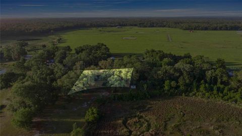 Tiny photo for 16789 SE 69th Lane, Ocklawaha, FL 32179 (MLS # OM724864)