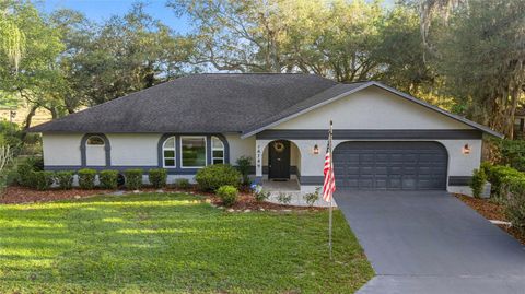 Photo of 16789 SE 69th Lane, Ocklawaha, FL 32179 (MLS # OM724864)