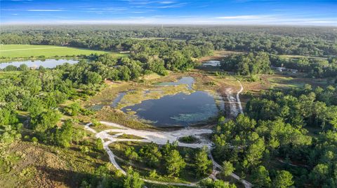 Tiny photo for 16789 SE 69th Lane, Ocklawaha, FL 32179 (MLS # OM724864)