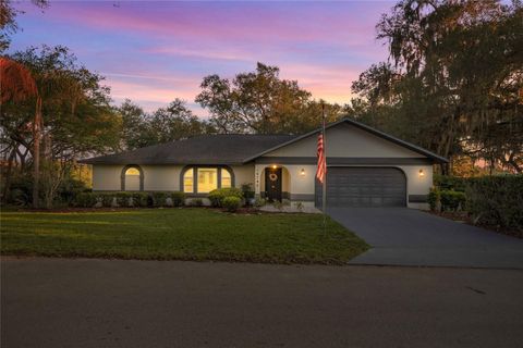 Tiny photo for 16789 SE 69th Lane, Ocklawaha, FL 32179 (MLS # OM724864)