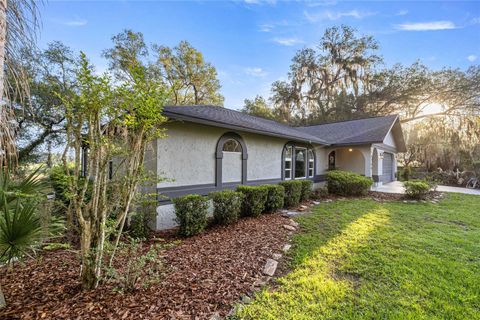 Tiny photo for 16789 SE 69th Lane, Ocklawaha, FL 32179 (MLS # OM724864)