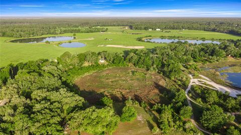 Tiny photo for 16789 SE 69th Lane, Ocklawaha, FL 32179 (MLS # OM724864)