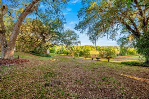 Tiny photo for 16789 SE 69th Lane, Ocklawaha, FL 32179 (MLS # OM724864)