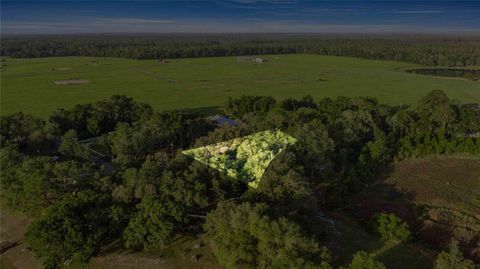 Tiny photo for 16789 SE 69th Lane, Ocklawaha, FL 32179 (MLS # OM724864)