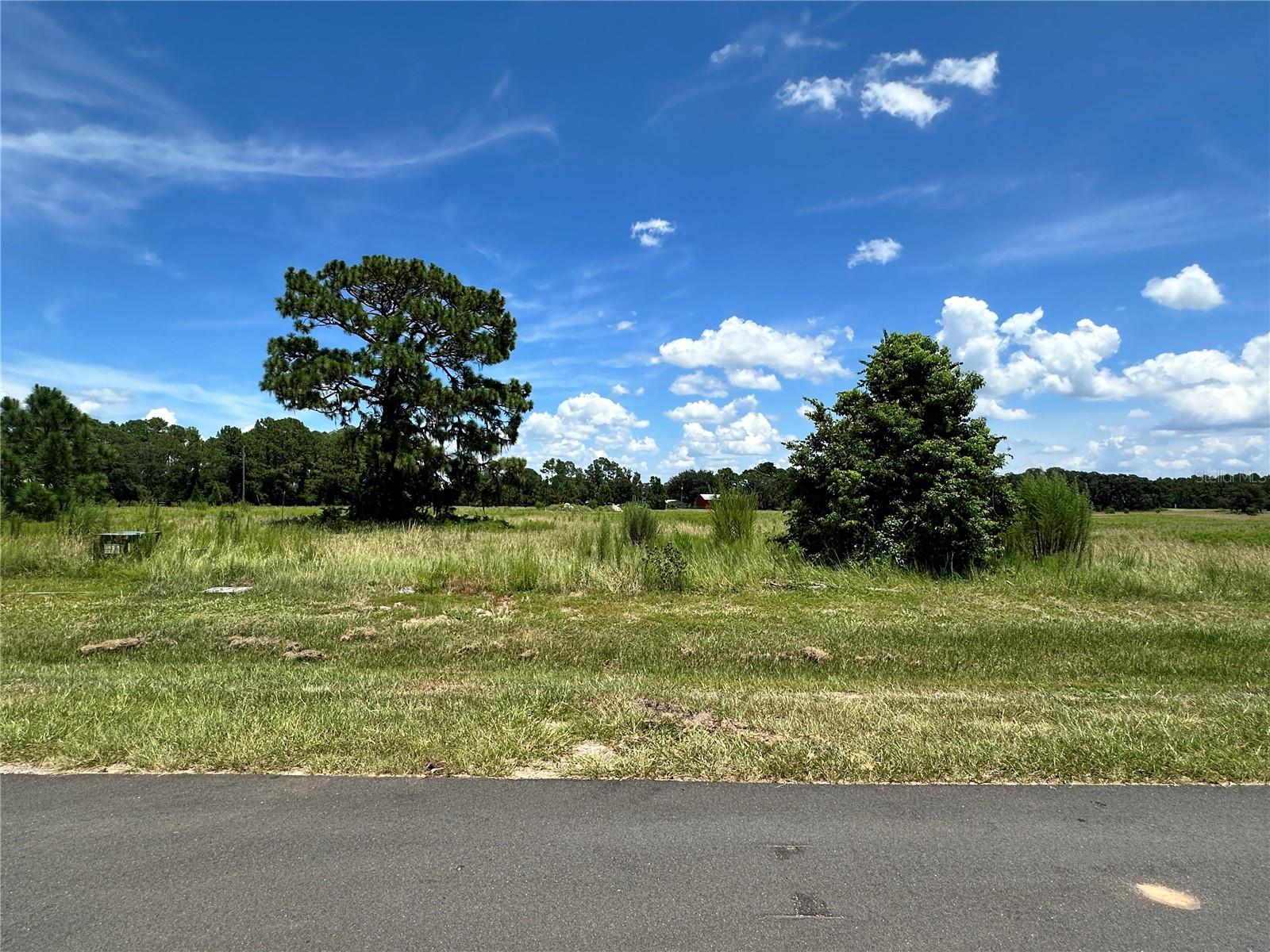 This is your chance to own an acre lot and build a custom-made house very close to Lake Dalhousie where you can enjoy boating, fishing, and skiing with your family and friends. Shoreline Ranch will be a gated community with 59 units only with at least an acre each parcel. Individual house construction is currently on-going and few houses are now standing and ready for move in. Bring your own developer and build your dream house anytime. Drive by at the community, stop at the Lake, and see it yourself. The Old City of Mount Dora is just less than 20 mins away. MCO is more than an hour away, including Disney. Stores such as Lowes, Publix, Starbucks, Mc Donalds, and more are just 17 minutes away from Shoreline Ranch.