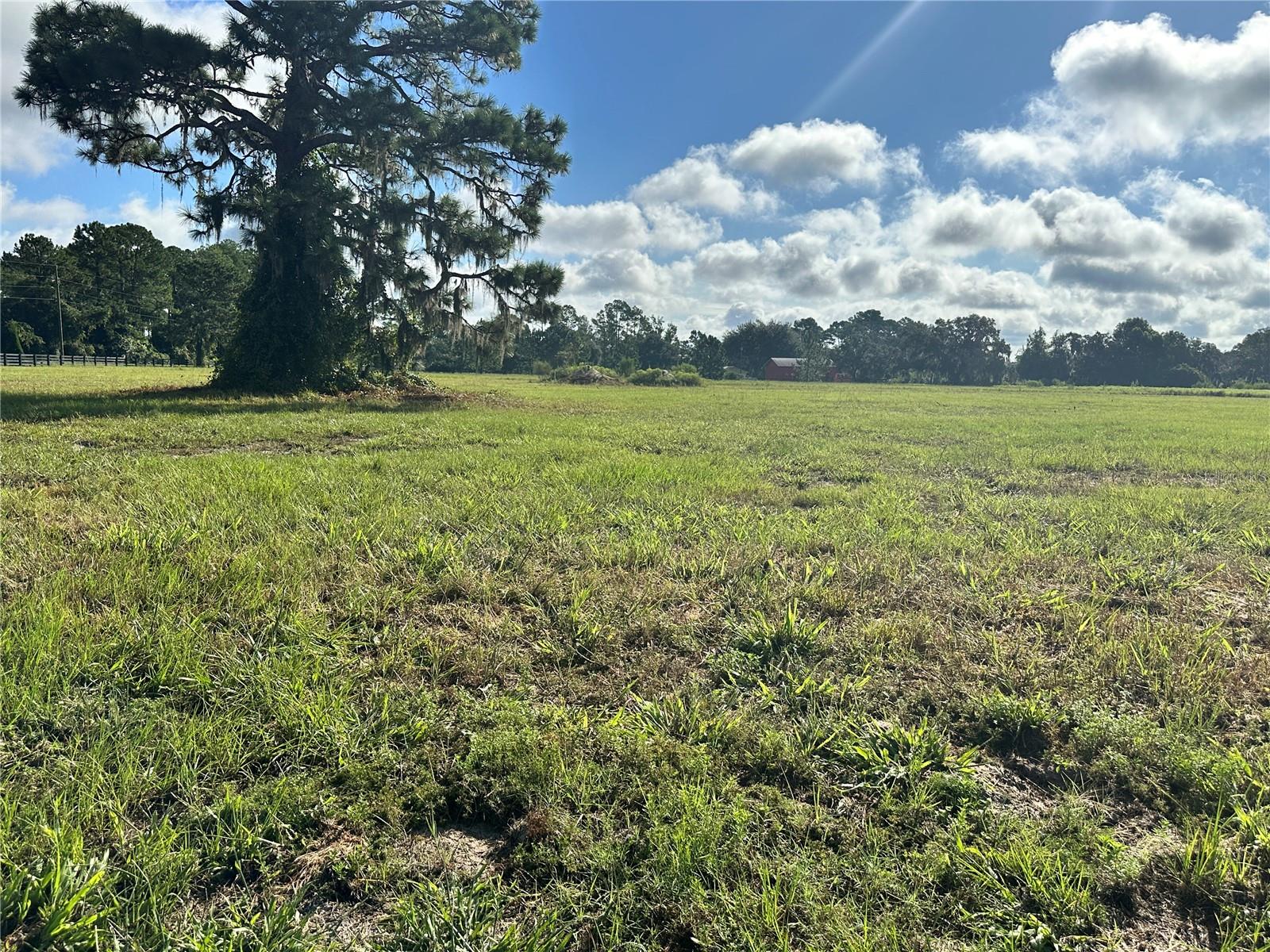 SHORELINE RANCH - Land