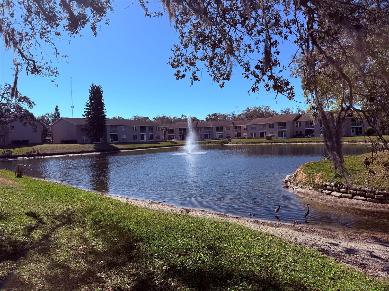 SUNNYBROOK CONDO 09 - Residential
