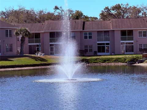 Photo of 6519 Spring Flower Drive #22, New Port Richey, FL 34653 (MLS # W7885089)