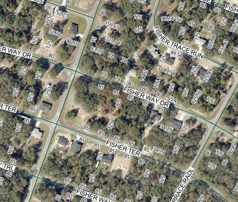 Photo of Fisher Way Dr Lot 11, Ocklawaha, FL 32179 (MLS # P4938853)