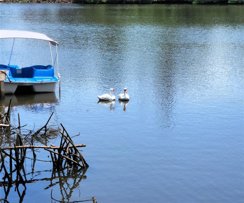 Photo of 6975 Edgewater Drive, New Port Richey, FL 34652 (MLS # TB8405799)