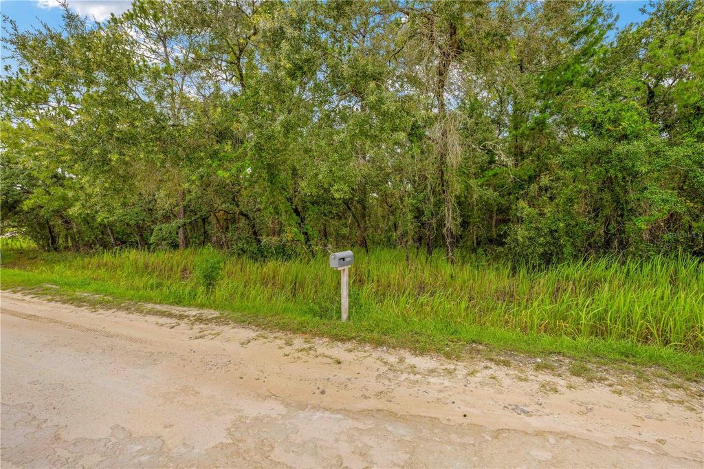 Photo of 0000 Maybird Avenue, Weeki Wachee, FL 34613 (MLS # TB8402450)