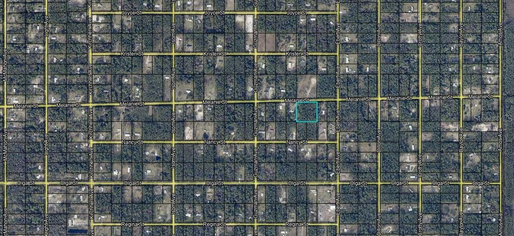 Photo of 4225 Melanie Street, Hastings, FL 32145 (MLS # A4668531)