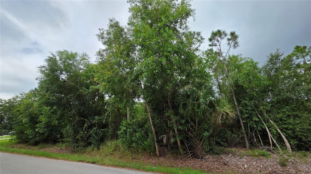 Photo of 12339 Cognac Drive, Punta Gorda, FL 33955 (MLS # C7516004)