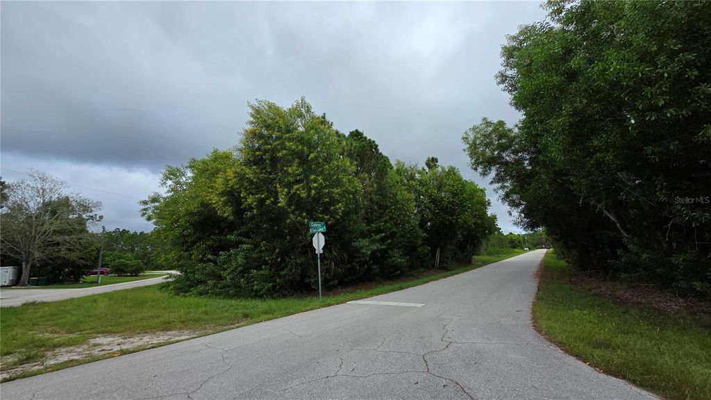 Photo of 12339 Cognac Drive, Punta Gorda, FL 33955 (MLS # C7516004)