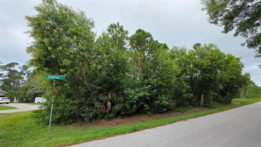 Rare opportunity! Two lots combined into a single parcel, totaling almost 0.40 acres, in Tropical Gulf Acres, Punta Gorda. This property offers major possibilities for the savvy buyer—build your dream home, hold as an investment, or create your custom retreat.

Enjoy paved road frontage, nearby utilities, and convenient access to US-41 and I-75. Zoned RSF3.5 with no HOA, this lot gives you the freedom and flexibility to design your vision.

Self-access property—drive by anytime!

For more information, please contact listing agent Grettel Piquero.
.