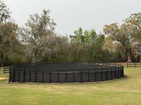 Tiny photo for 3245 NW 137th Place, Reddick, FL 32686 (MLS # OM719511)