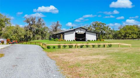 Tiny photo for 3245 NW 137th Place, Reddick, FL 32686 (MLS # OM719511)