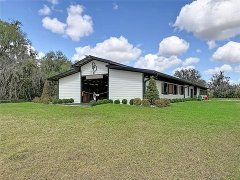 Tiny photo for 3245 NW 137th Place, Reddick, FL 32686 (MLS # OM719511)