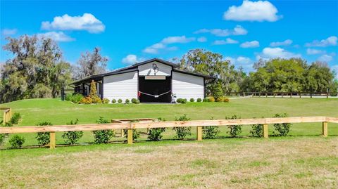 Tiny photo for 3245 NW 137th Place, Reddick, FL 32686 (MLS # OM719511)