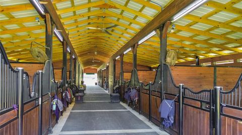 Tiny photo for 3245 NW 137th Place, Reddick, FL 32686 (MLS # OM719511)