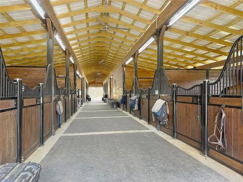 Tiny photo for 3245 NW 137th Place, Reddick, FL 32686 (MLS # OM719511)