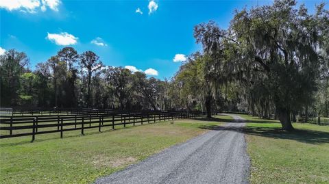 Tiny photo for 3245 NW 137th Place, Reddick, FL 32686 (MLS # OM719511)
