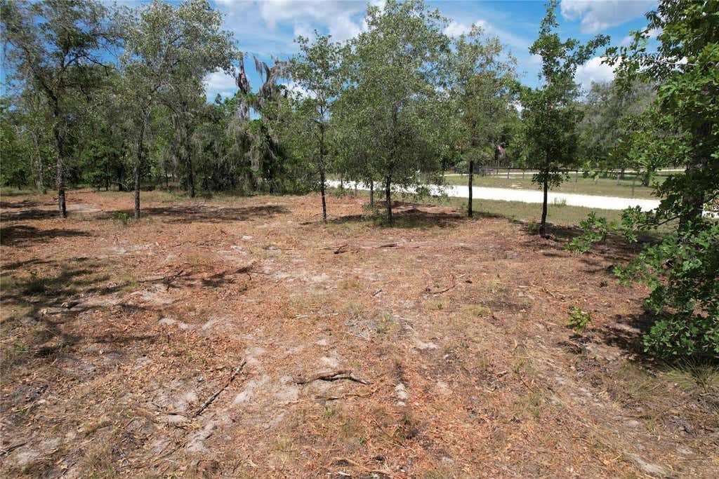 Photo of 53rd Lane, Morriston, FL 32668 (MLS # O6435317)